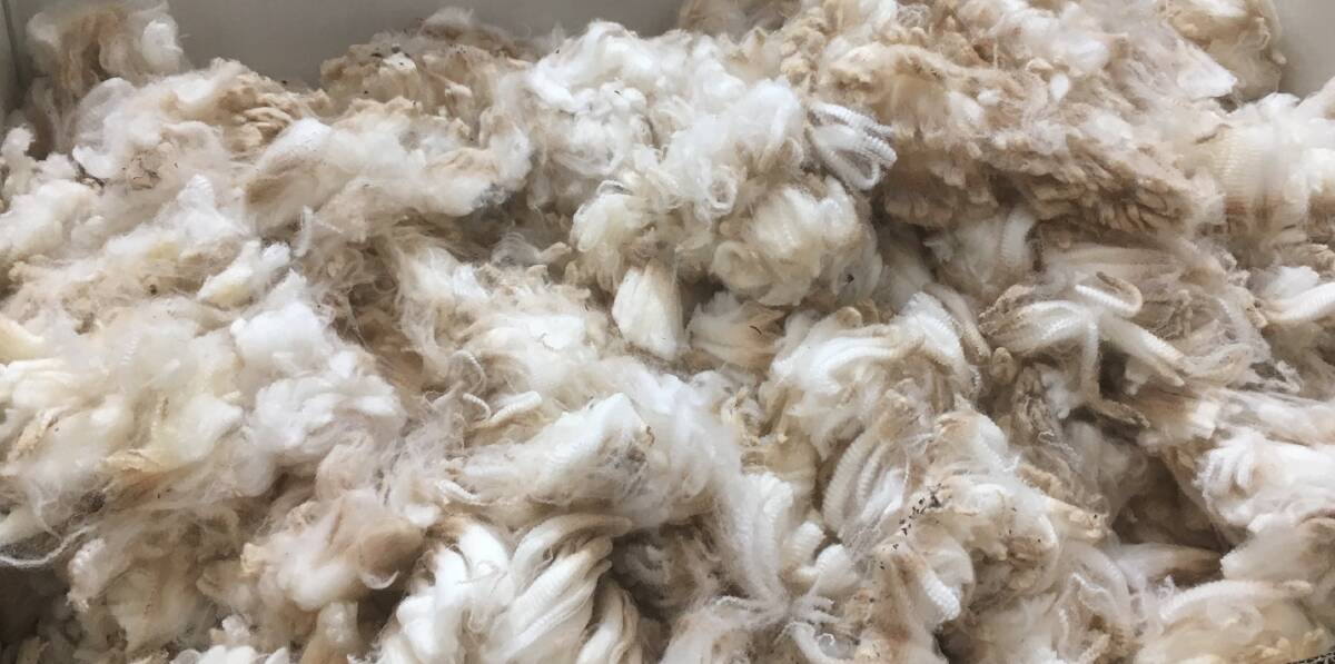 IN DEMAND: Early stage wool processors around the world kept orders flowing to keep their machinery busy. 