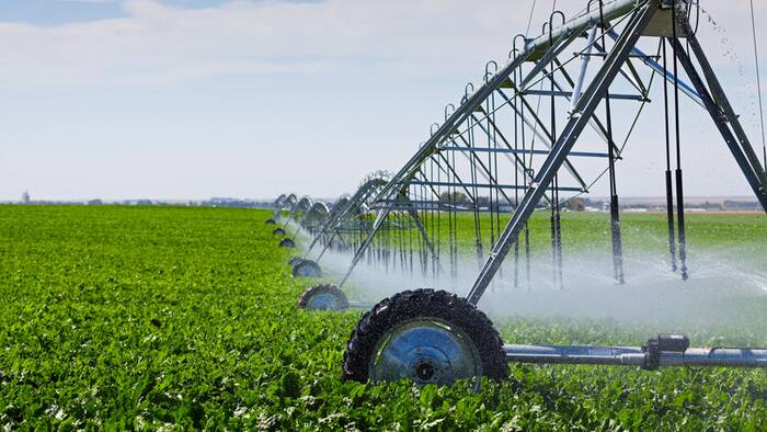 INDUSTRY CONTROL: The new chairs of Queensland’s eight Local Management Authority irrigation schemes have been named.
