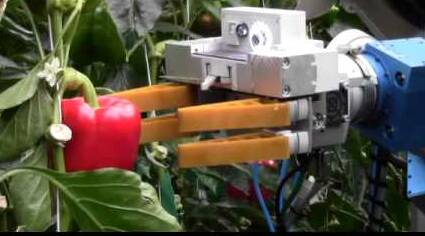 GRAB A TICKET: A capsicum harvesting robot will be showcased at the AgFutures Conference in Brisbane on November 22-23.