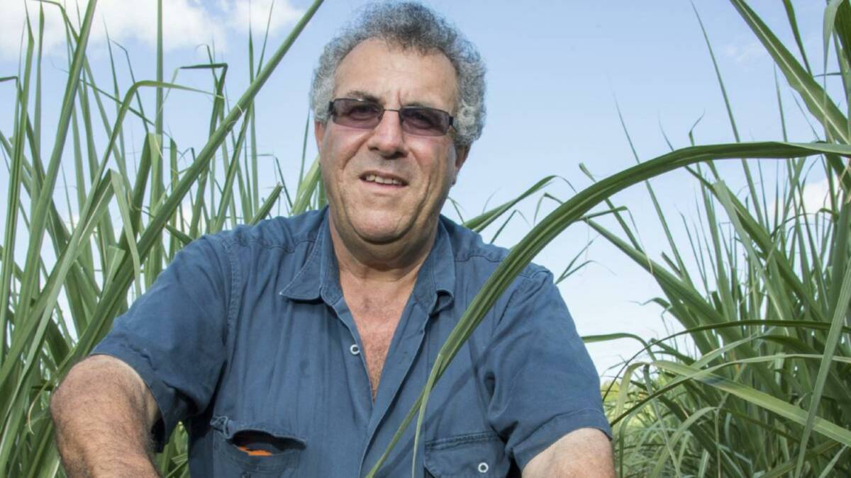CELEBRATING: CANEGROWERS chairman Paul Schembri says the sugar code addresses the imbalance of power at the grower-miller negotiating table.