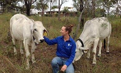 CQUniversity postgraduate Lauren Williams says there is little scientific knowledge of how water impacts animal behaviour and nutritional needs.