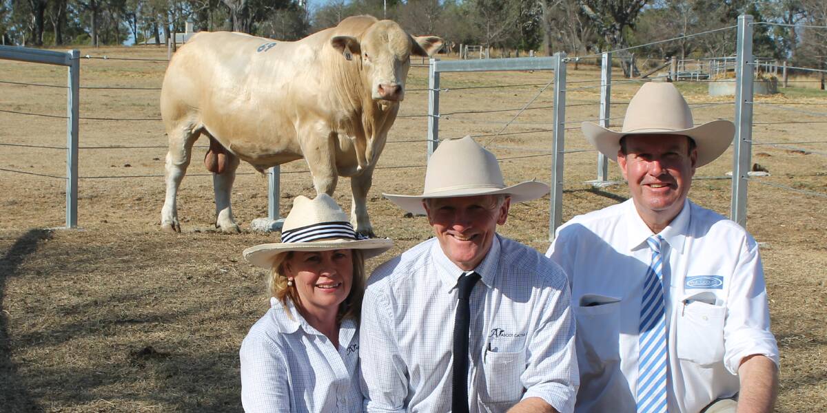 SALE TOPPER: Jackie and Jim Wedge with the $24,000 top priced Charolais Ascot Eldorado L538E and auctioneer Paul Dooley.