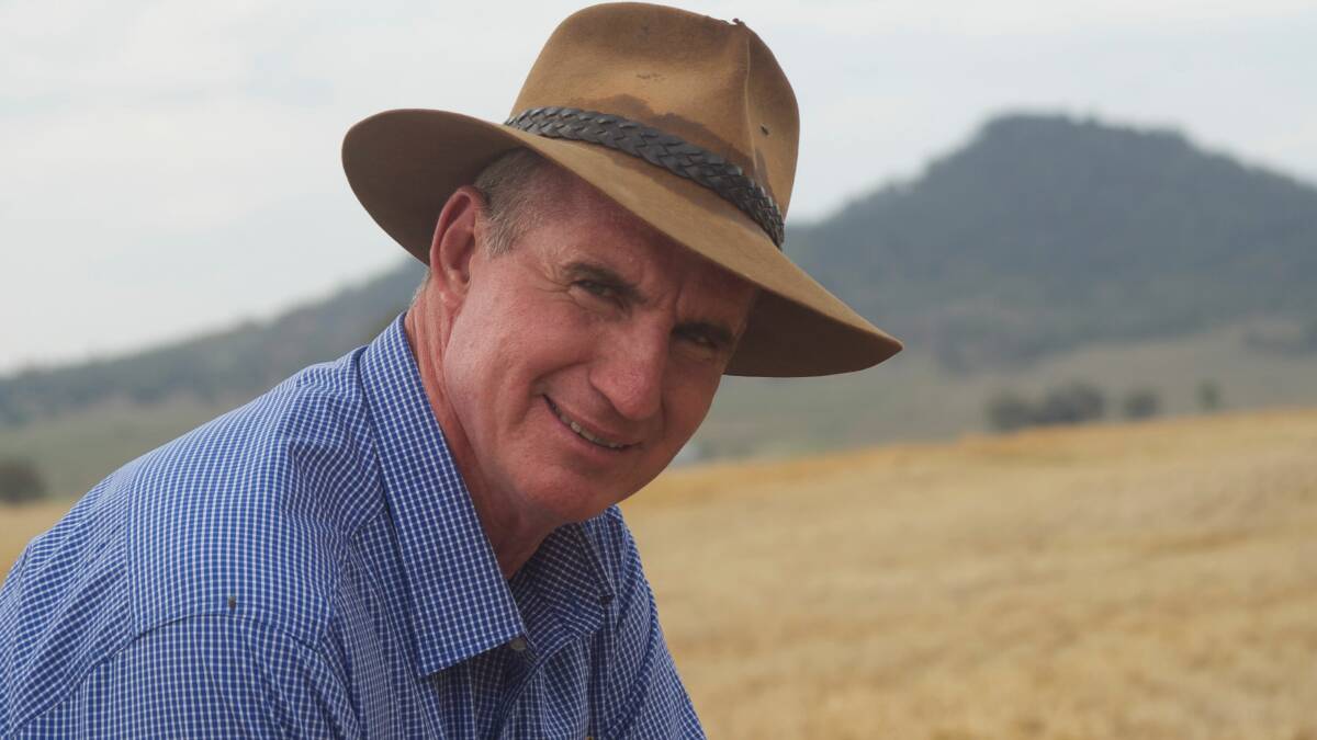 CHRISTMAS WISH: Toowoomba-based agronomist Paul McIntosh says growers are now anxiously waiting on rain for summer crops. 