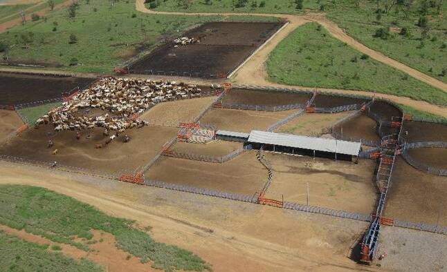 GROWTH POTENTIAL: Clermont district properties Willesley and Laurel Hills are being offered with a 5000 head feedlot.