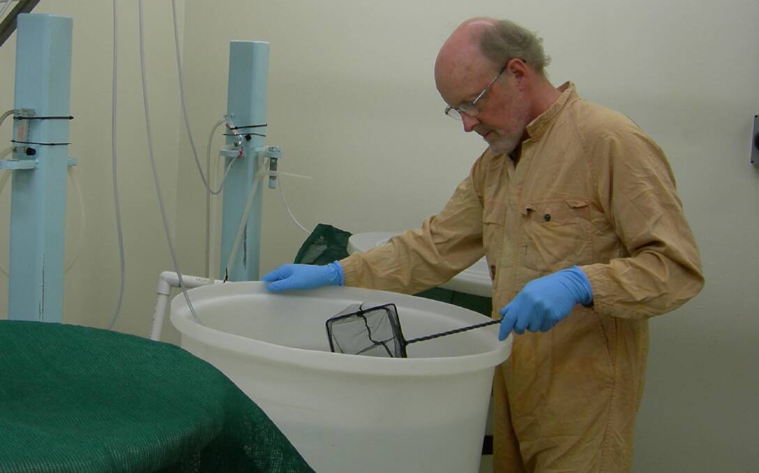 Dr Ken McColl's work was fundamental in the formation of the Australian Government funded National Carp Control Plan.