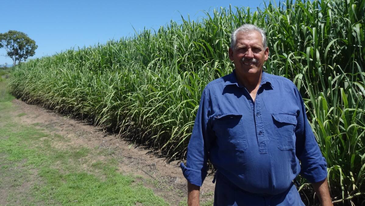 Maidavale sugarcane farmer Mark Castelanelli is hosting one of the 12 Gamechanger EEF trials.