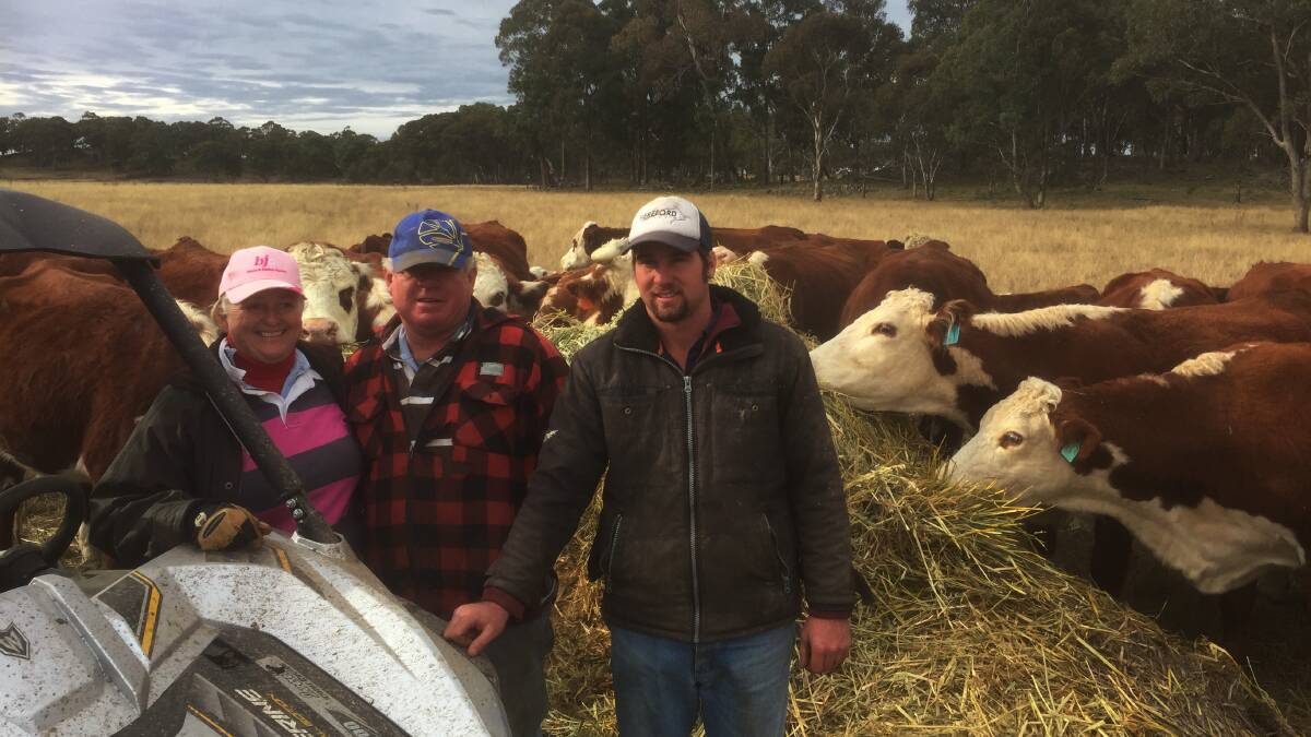 FUTURE FOCUS: Eunice, Angus and Will Vivers run Jindalee Herefords on the famed Kings Plains, north west of Inverell.
