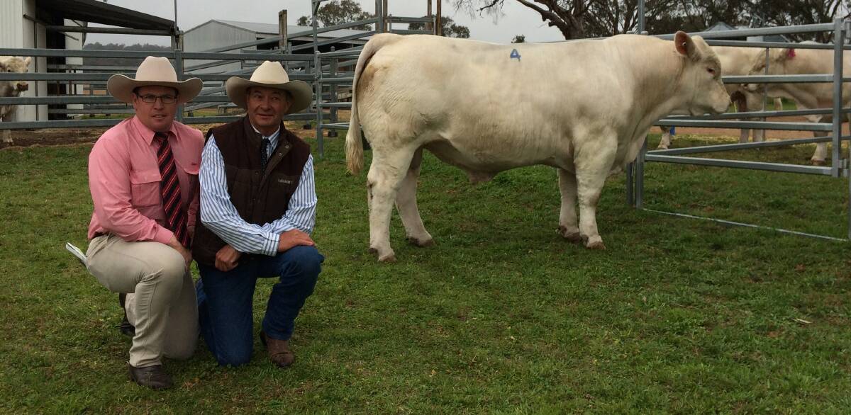 SALE TOPPER: Paul Hohn, Elders, and David Bondfield, Palgrove, with the $52,000 top priced Palgrove Kruze (P) with sold to Ben Avery, Blackall.