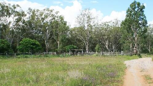 Avoca has a workable set of cattle yards.
