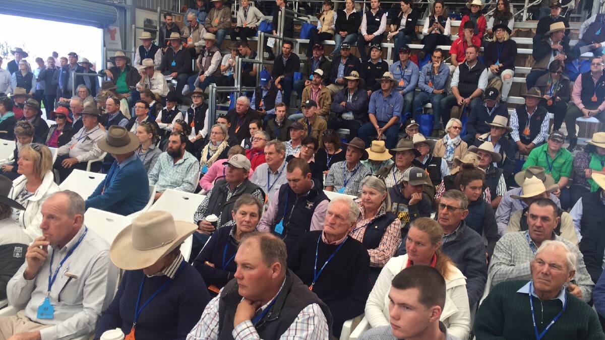 Part of the big crowd at the on-property Yulgilbar Beef Expo and Forum between Grafton and Casino, NSW.