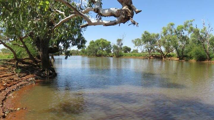 Water is supplied form 37 bores supplying tanks and troughs, natural creeks and creek holes. 
