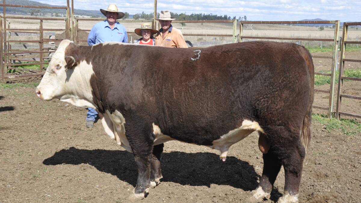 IN DEMAND: Tahlan principal Greg Scurr with volume buyers Paul and Jenny Magner, Magnerlands, Riverton, who bought three bulls for an average $4167.
