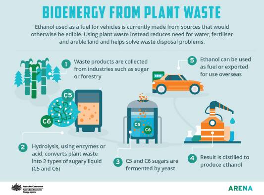 Cheaper, more efficient biofuels targeted