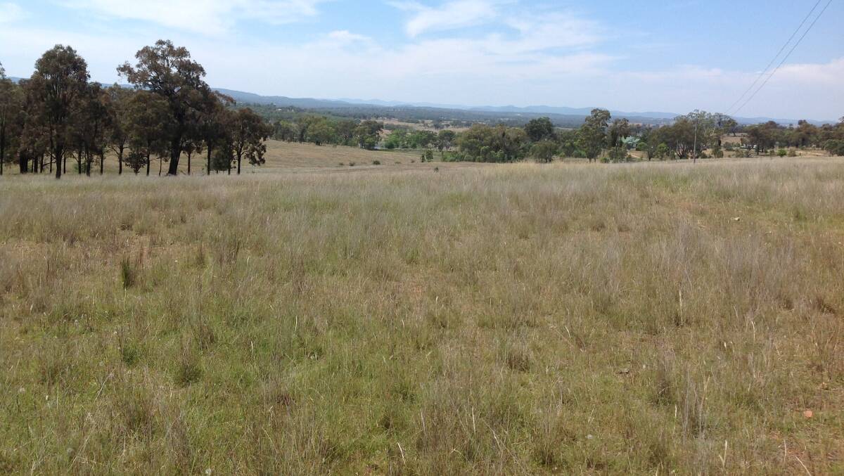The freehold aggregation comprises of Pikedale and East Pikedale and covers 3423 hectares.
