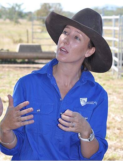 CQUniversity postgraduate Lauren Williams says it's not known what’s driving the behaviour of cattle around water.