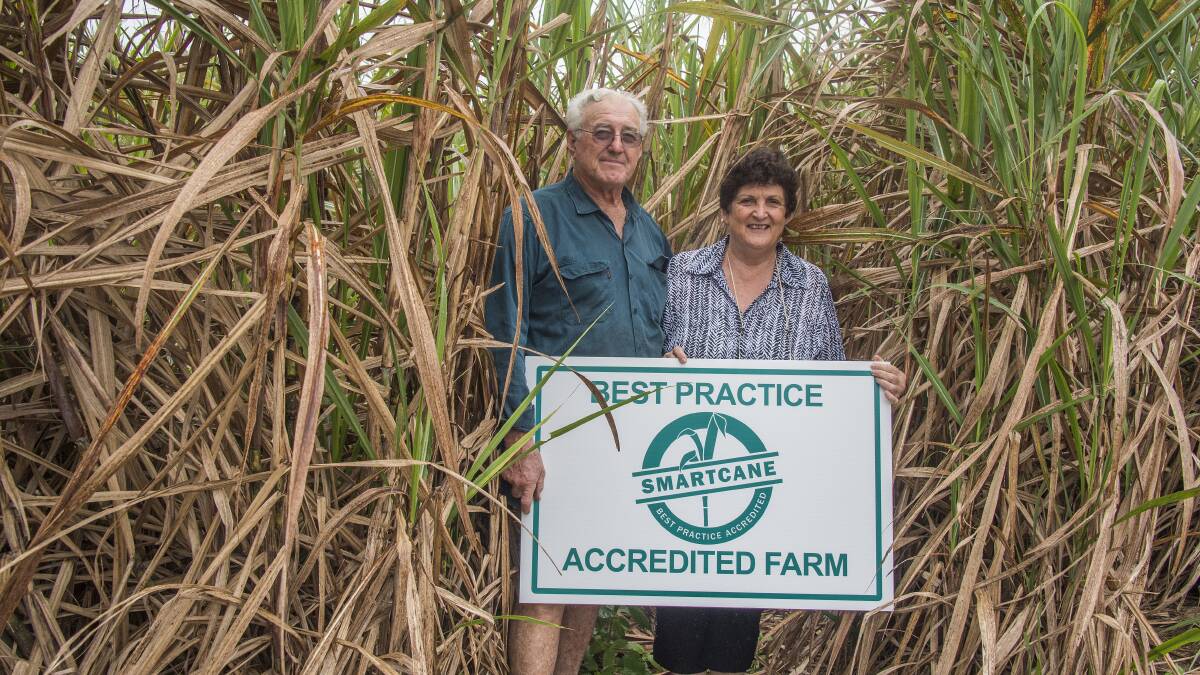 Steve and Rose Destro are proud to have their Babinda cane farm Smartcane BMP accredited. Photo - Brian Cassey.