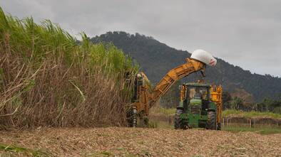 NEW DEAL: Queensland cane growers say they are relieved the federal government had committed to delivering a code of conduct for the sugar industry.