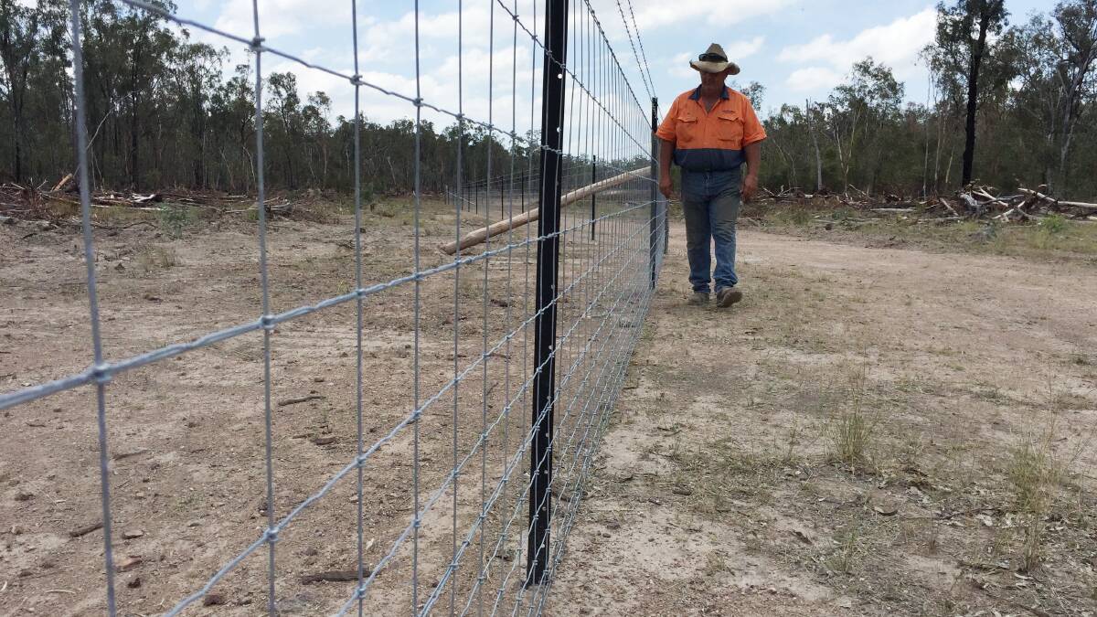 FENCED IN: Jim Caton, Bodumba, Gore, is erecting exclusion fencing to stop canine predators and to reduce the impact of overgrazing by marsupials.