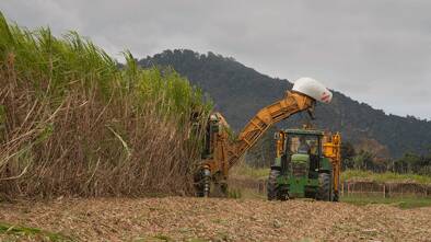 JOB WELL DONE: More than 34 million tonnes of sugarcane was sent to Queensland’s 21 mills for crushing.