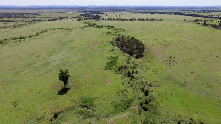 GONE: Three Baralaba properties have sold for a combined total of $7.425 million at a Ray White Rural auction in Rockhampton today.