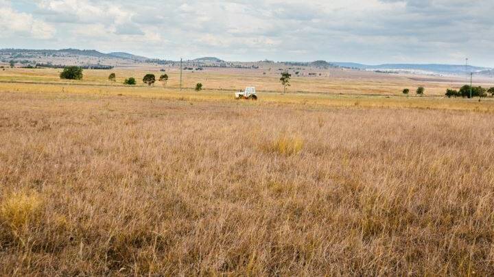 About 80ha has of Wyamba has previously been cultivated.