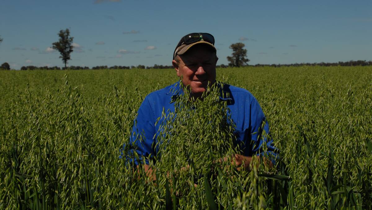 ON THE MARKET: Donella owner Brad Smith in this year’s bumper oats crop.
