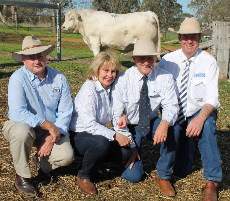 The $28,000 top priced Charolais Ascot Liquid Gold bought by Australian Cattle and Beef Holdings pictured are David Foote, ACBH, Jackie Chard and Jim Wedge, Ascot Stud, Warwick, and auctioneer Paul Dooley. Photo - Peter Lowe. 