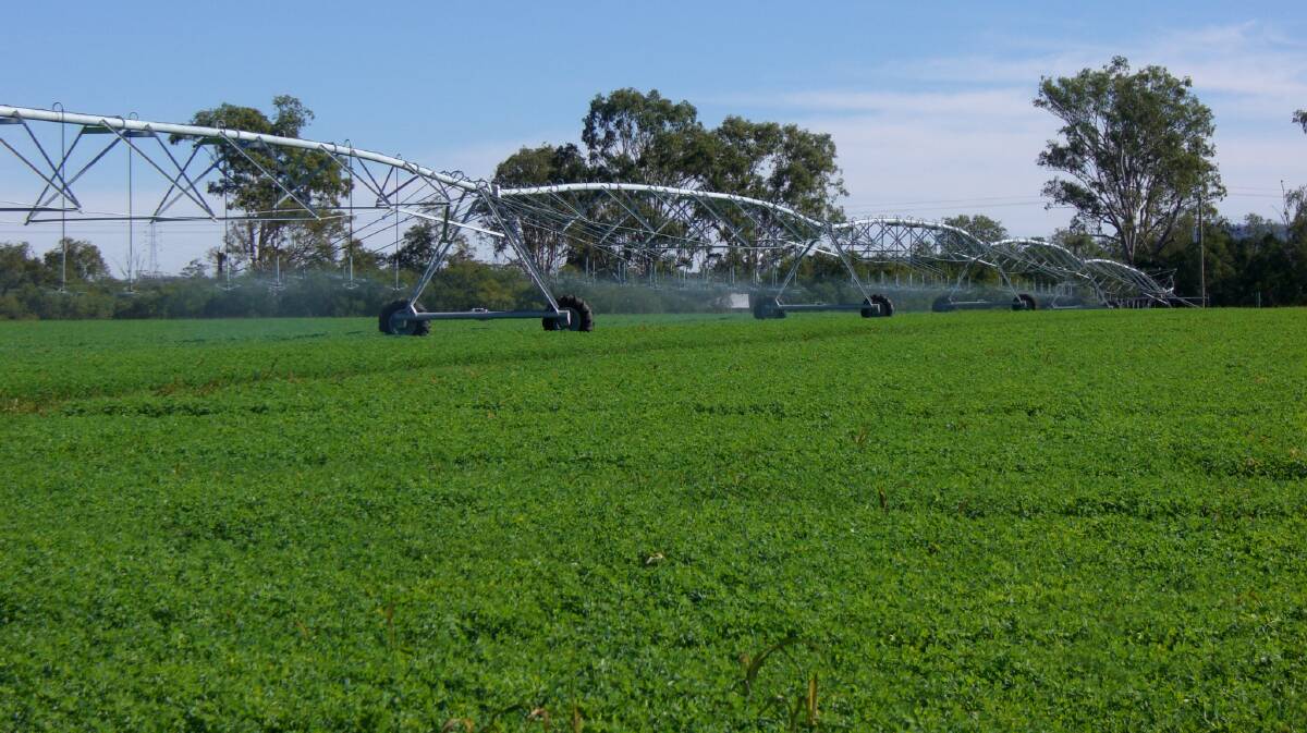 Bomarick is noted for its lucerne production.