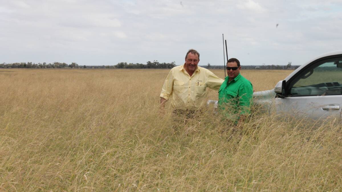 JULY 7: Roger Lyne, Ray White Rural, and vendor Alan Deane checking out the feed on Ashby at the Gums.