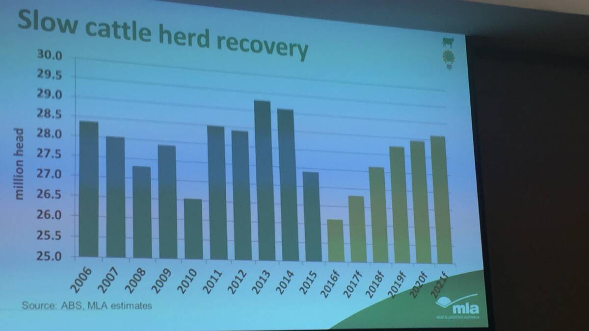 Australia's cattle herd is set to increase from a low of 26 million head in 2016 to more than 28.5 million head in 2021. 