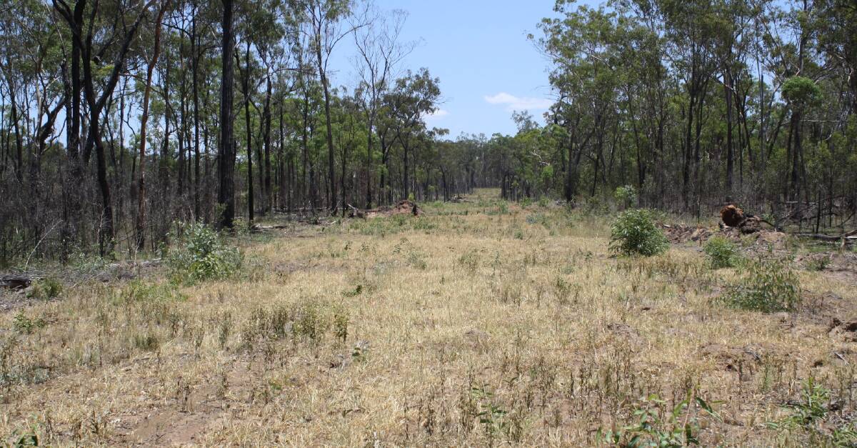 IN COURT: Part of the fire break that Mike Baker created to protect his 9000-hectare Eidsvold property Chess Park.