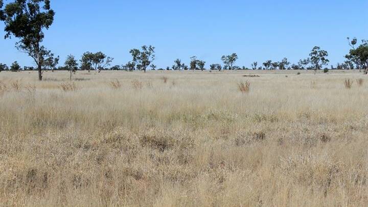 UNDER OFFER: The 40,500 hectare Charleville property Sherwood Park is under contract.