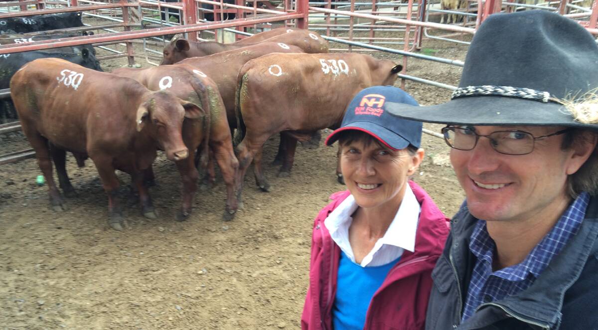 Evan and Lesley Peterson, Possum Station, Killarney, and their champion pen of Santa Gertrudis domestic feeder steers.