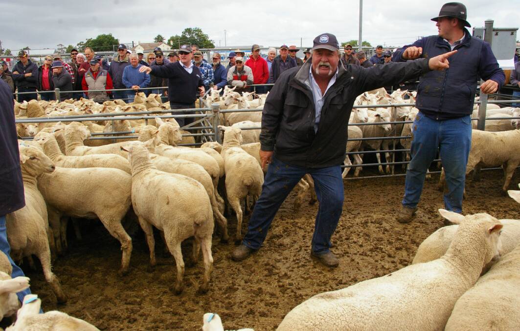 Crawford Dowling auctioneer Paul Constable nominates the bid during the Ballarat ewe sale