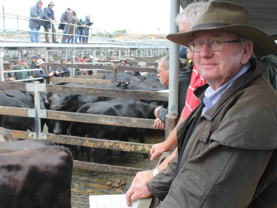 Warrnambool stock agent Dan Carey, Brian O'Halloran & Co was a major vendor selling 144 Angus- and Hereford-Friesian heifers to $2500, average $2130.