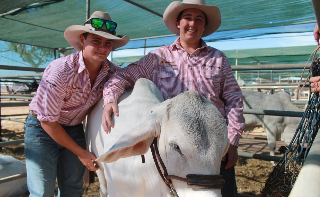 Lane Tisdell and Morten Helion from Taminmin College with their award winning heifer at the Katherine Show. 