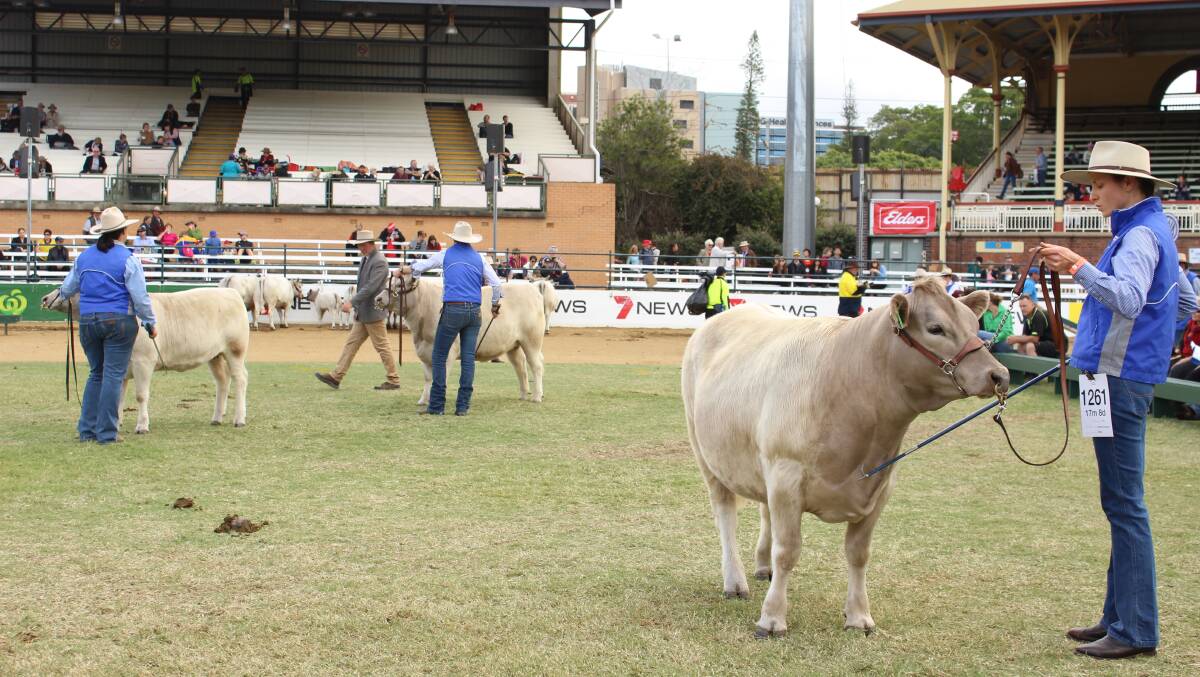 Ekka 2016 Square Meaters results