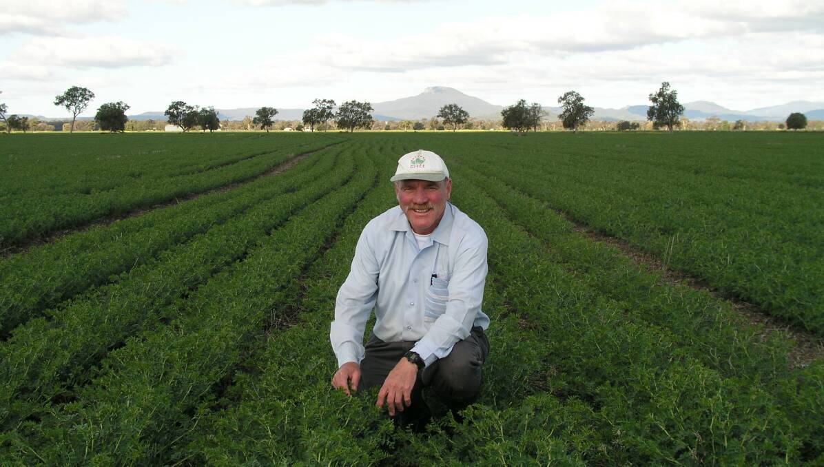 New South Wales DPI senior plant pathologist Dr Kevin Moore says large scale crop losses could occur if conditions favoured disease.