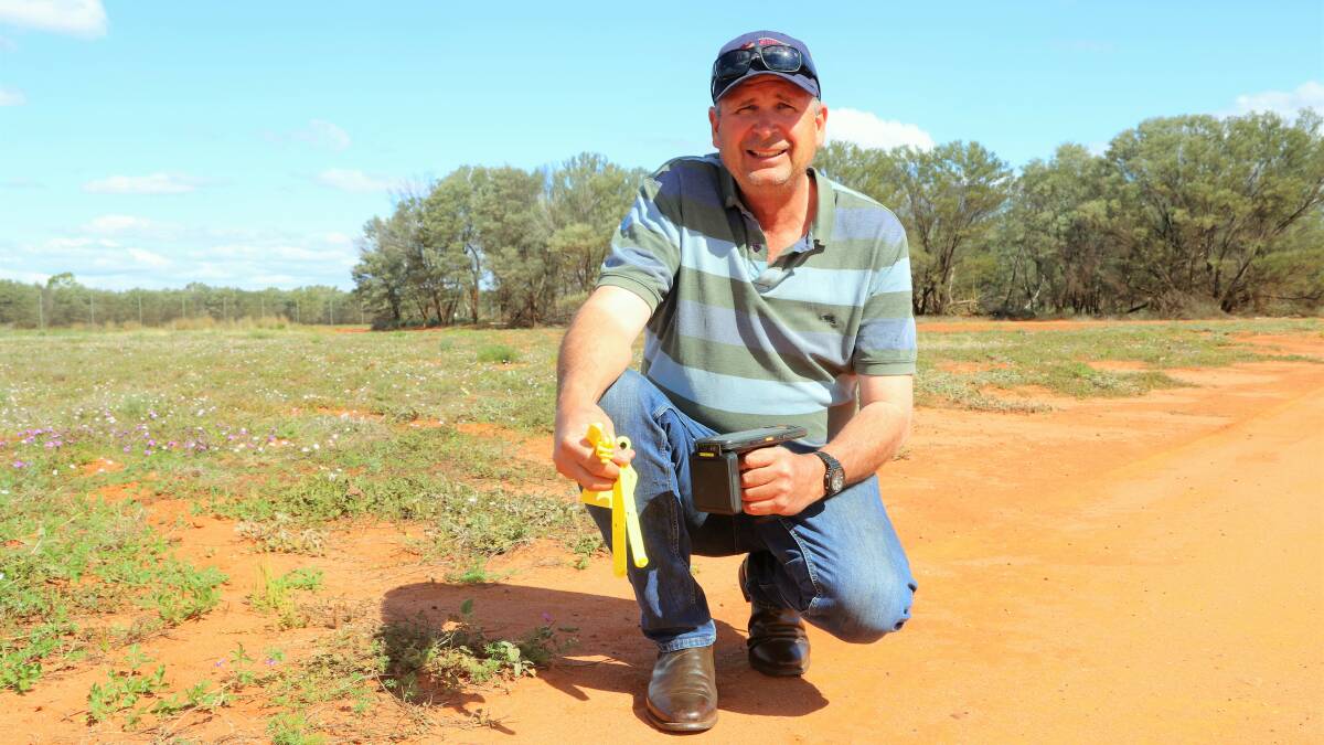 Queensland's AgForce sheep and wool president Stephen Tully has backed NSW's calls to halt the roll-out to investigate UHF technology. Picture by Sally Gall.