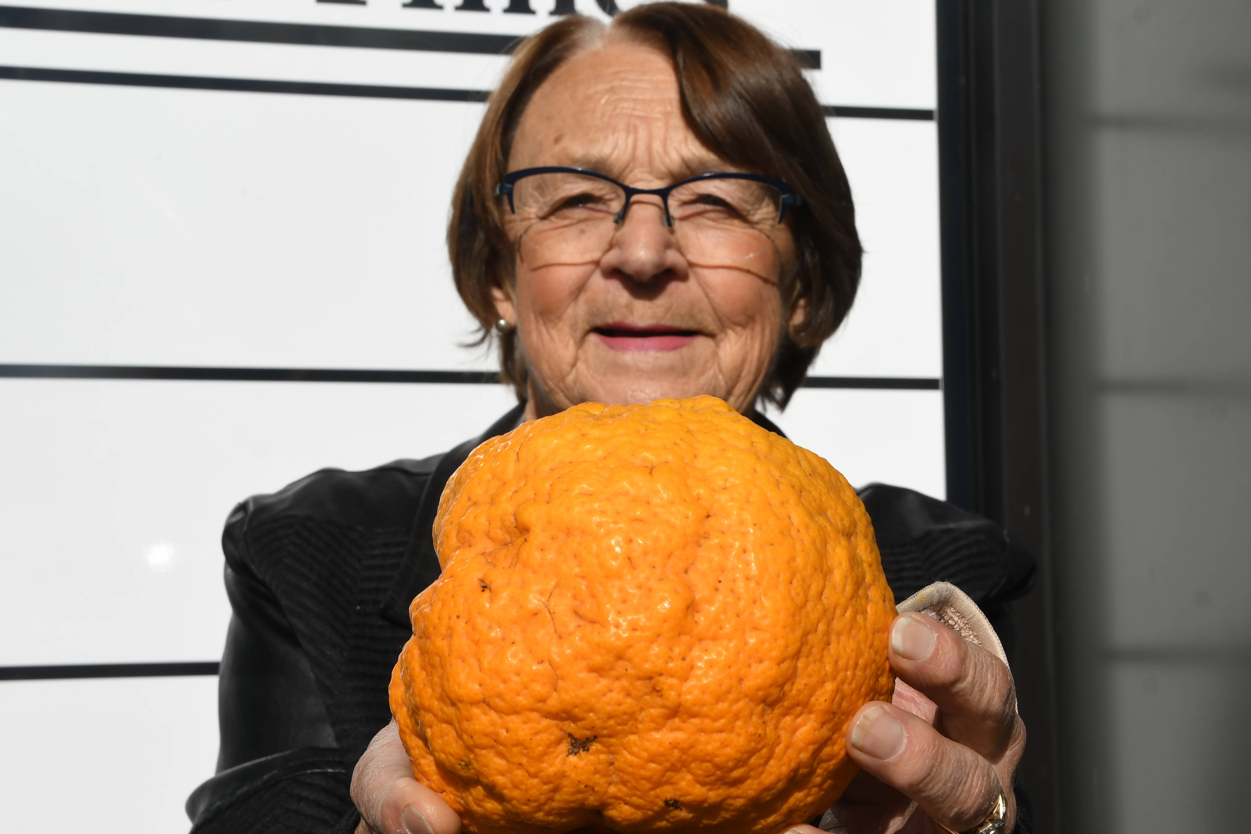 Giant orange found in Wonwondah, Victoria | Queensland Country Life | QLD