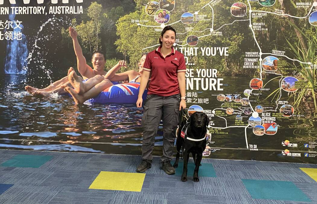 Detector Dog Zinta in Darwin with a handler at Darwin airport.