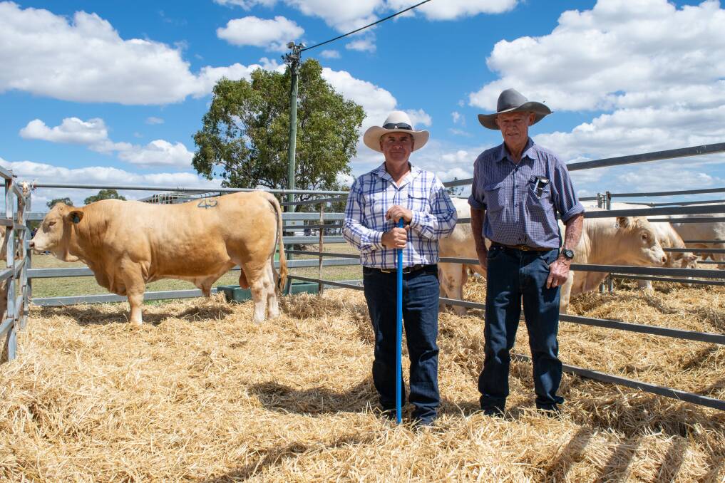 Vendor Stephen Kajewski with Lawrence Hack, Rocklea, Alpha, who purchased the top selling Charbray bull, Bettafield Q2, for $20,000.