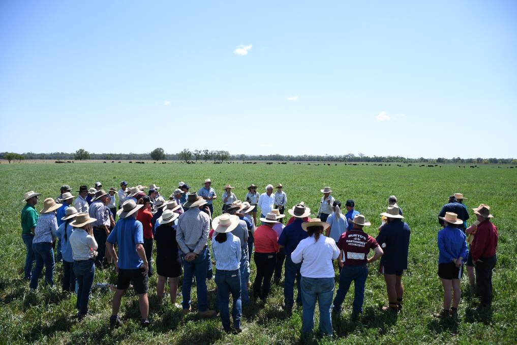 CQLA held their first major workshop at Netley on October 23-24, a two-day nutrition farming workshop with Graeme Sait.