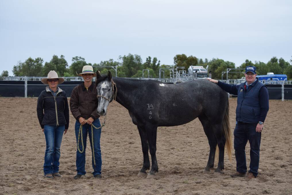 One of the top priced geldings, Superact Jimmy Choo, with Lizette McCamley, Lancefield, Dululu, Jaimie Kriesch, TDT Performance Horses, Gogango, and Mark Duthie, GDL Dalby.