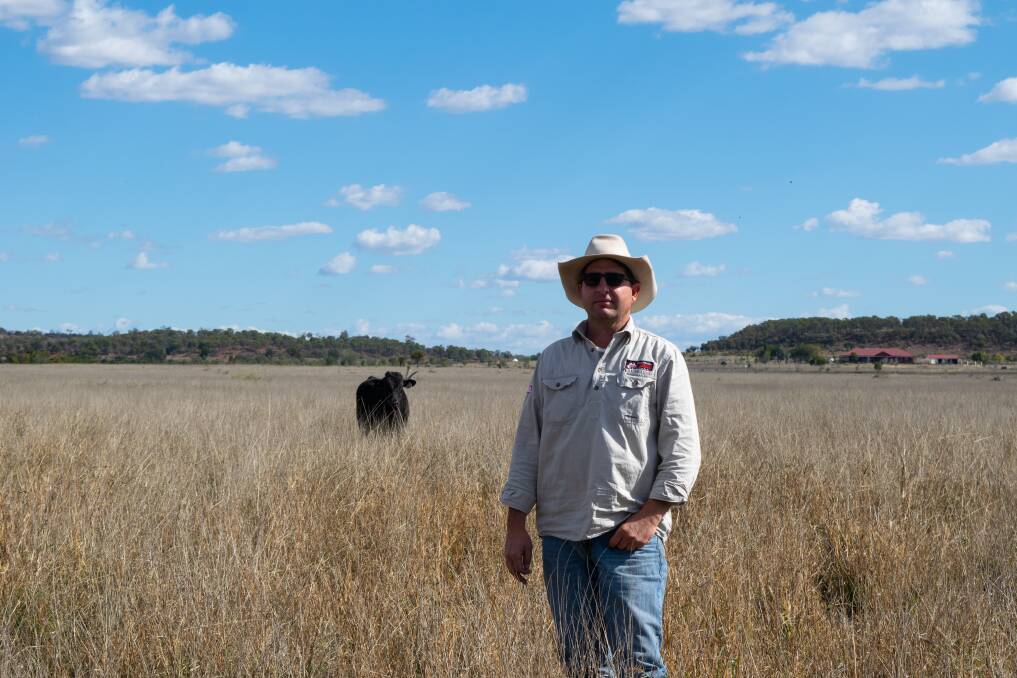 Over the years Que Hornery, River Lea, Comet, has come to understand the important link meat quality shares with overall animal nutrition, grazing land management, and herd psychology.