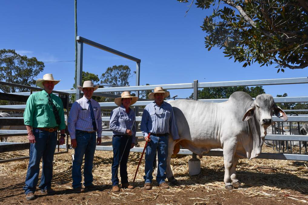 Matt Beard, Nutrien, and Jake Passfield, Hoch & Wilkinson with vendors David and Julie McCamley, and top selling bull at the Clermont Beef Bull Sale, Palmal 9587, who sold to Mal and Sue Burston, Moranbah.
