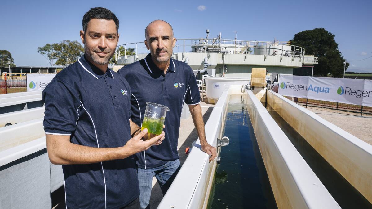 NOT JUST PRAWNS: Nicolas Neveux and Bastien Finet with the RegenAqua filtration system, which can be used for organic wastewater treatment. Photo by Andrew Rankin