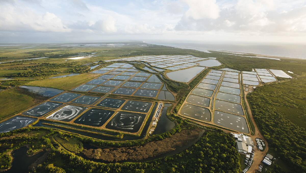 ONSHORE AQUACULTURE: Described as the "first of its kind in the world", this innovative prawn farm and a nearby greenfield site are expected to draw interest from billionaires.