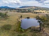 SOLD: Lowes Swamp, Tarana, NSW, was sold to a local grazier.
