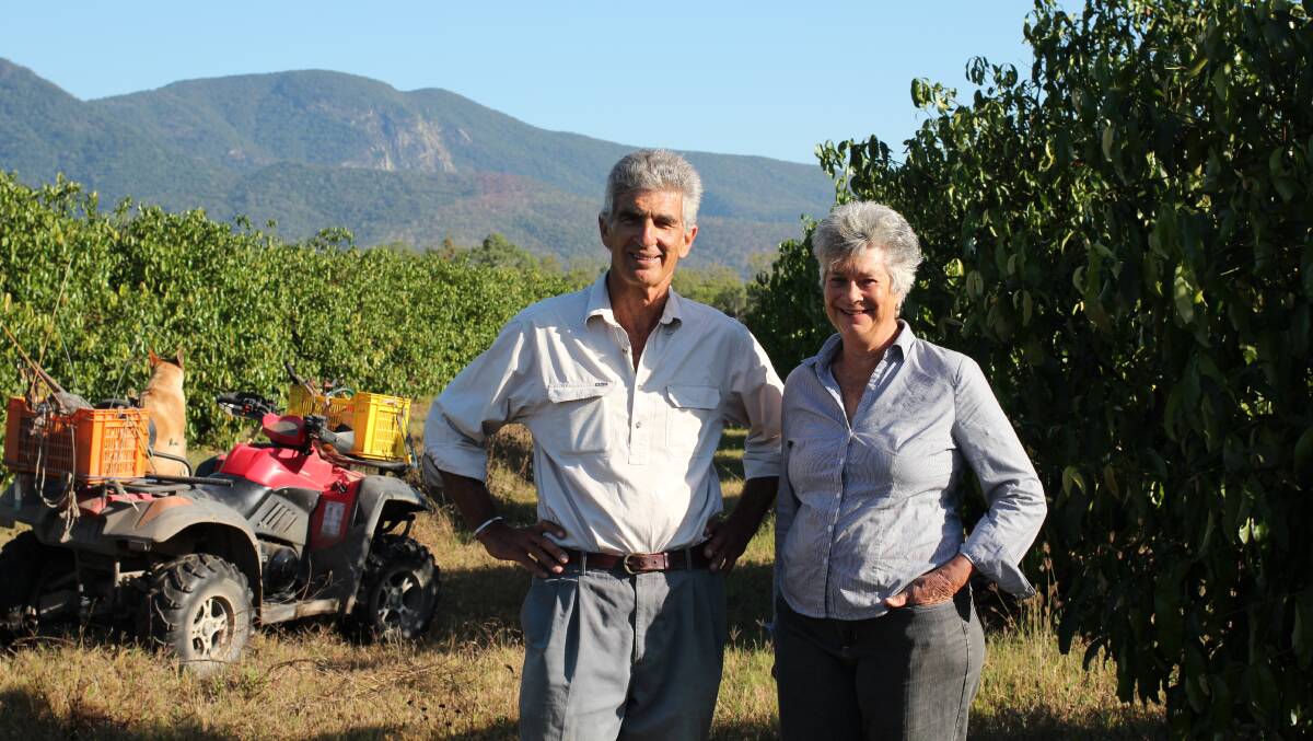 UNIQUE: Bruce and Helen Hill in the Achacha plantation at Mount Surround near Townsville, which is accepting expressions of interest to buy. 